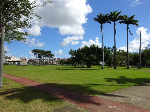 Public park with tall palm trees and green lawn in Fort-de-France