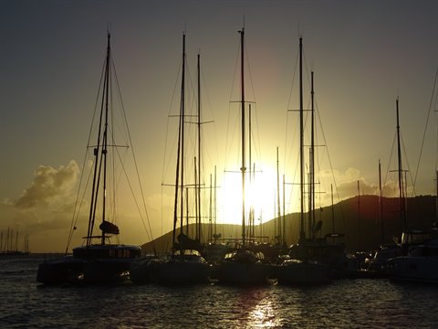 Sailboats resting in Le Marin harbor, masts silhouetted against the sun