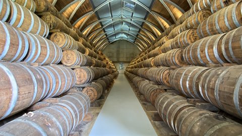 Oak rum barrels aging in the distillery warehouse, Martinique
