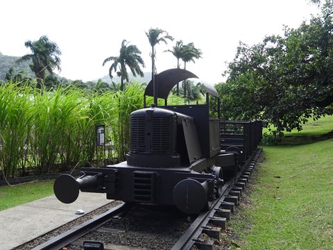 Black vintage locomotive on rails among sugarcane and palm trees