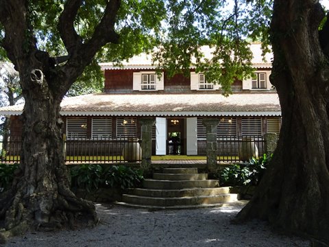 Wooden creole house among old trees, stone staircase, Habitation Clément