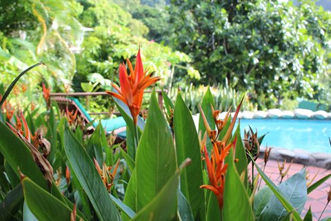 Stonefield Villa Resort - Our Villa