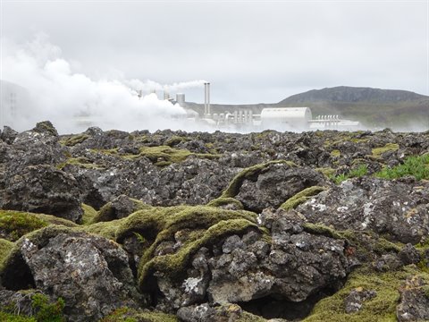 Campi lavici muschiosi davanti alla centrale geotermica di Reykjanes avvolta nel vapore