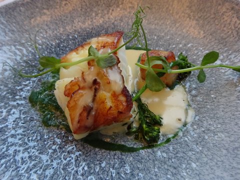 Pesce scottato con crema e germogli su piatto di pietra, Arnastapi