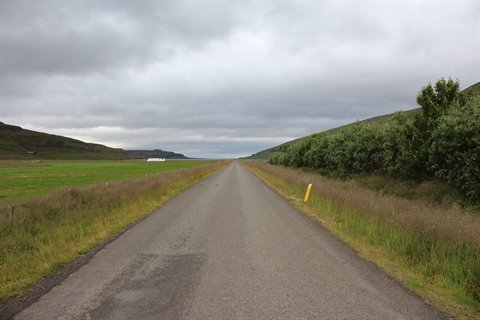 Strada dritta d'asfalto tra campi verdi, mari verdi, cielo grigio e nuvoloso