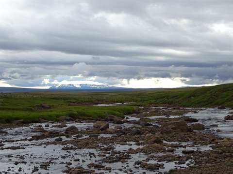 Torrente tra rocce e muschio verde sotto nuvole, possibile montagna Snæfellsjökull