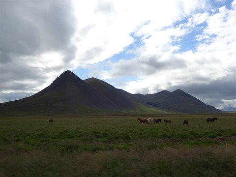 Cavalli al pascolo sotto monte vulcanico e nuvole, vicino a Akureyri