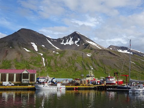 Barche da pesca ormeggiate al porto di Siglufjordur sotto monti innevate