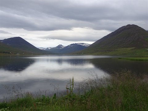 Lago tranquillo tra montagne brune, cielo grigio, erba verde in primo piano