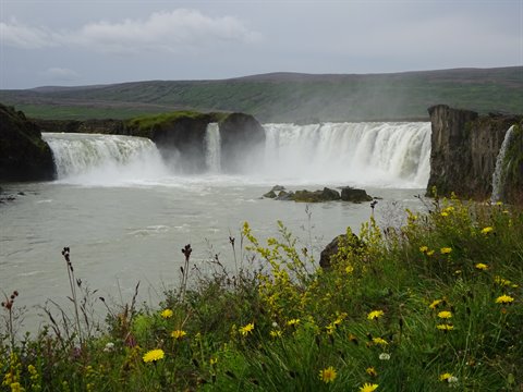 Cascata Goðafoss tra rocce scure e fiori gialli, luce grigia