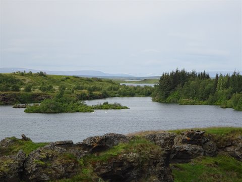 Laghi tra lave muschiate e conifere nel parco di Thingvellir