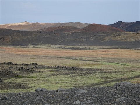 Campi di lava nera e muschio verde sotto colline vulcaniche, Myvatn