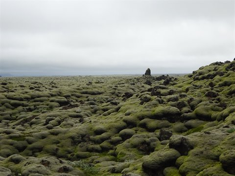 Campi di lava ricoperti di muschio verde sotto cielo grigio, Reykjanes