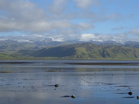 Baia con alghe e montagne innevate riflesse nell'acqua