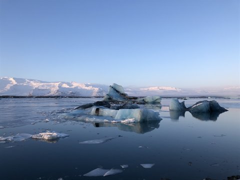 Icebergs floating on calm water among snowy mountains, cold morning light