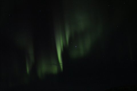 Green northern lights dancing in the dark night sky with stars