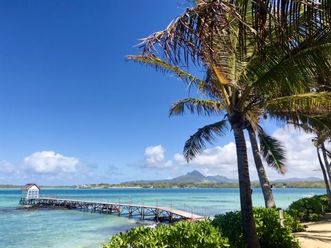 Wooden pier over turquoise sea between palm trees, mountain on horizon, bright sunlight