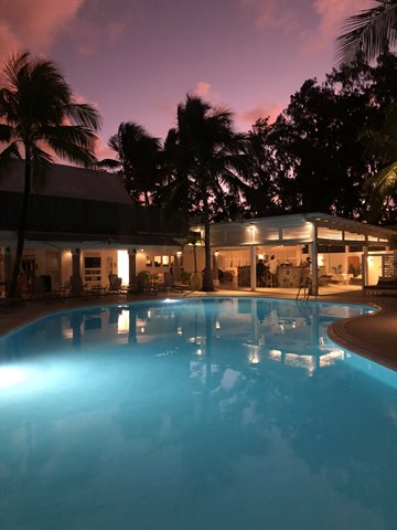 Lit swimming pool at tropical resort, palm trees and pavilion, purple dusk sky
