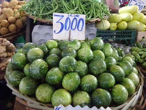 Basket of green eggplants at the market, price sign, natural light