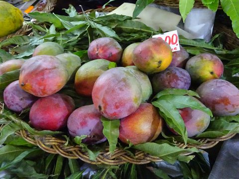Ripe red and green mangoes with leaves in a woven basket at the market