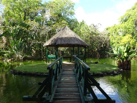 Green wooden bridge crosses a pond toward thatched gazebo, sunny daylight