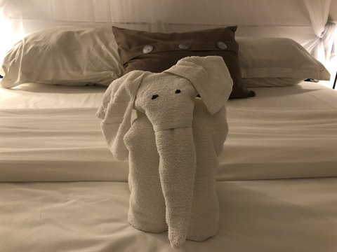 Towel elephant on hotel bed, white cotton, warm artificial light