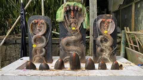 Stone steles carved with snakes and lingams, daylight, flower offering