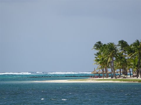 Palms and thatched umbrellas on tropical beach, turquoise sea under grey sky