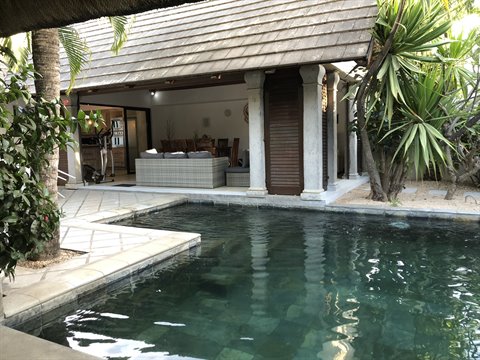 Pool in front of thatched-roof villa with palms and lounge, natural daylight