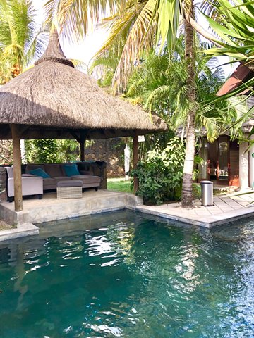 Tropical pool with thatched gazebo sofas and palm trees natural light