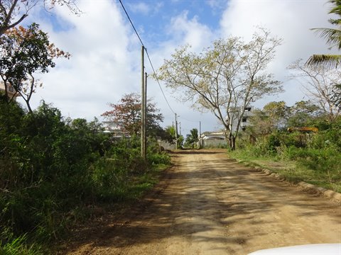 Dirt road among trees and utility poles, cloudy sky, natural light