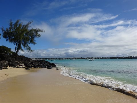 Tree on golden sand, turquoise waves on black rocks, boats on horizon under cloudy sky