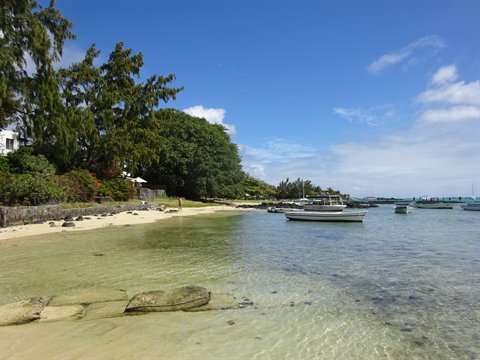 White boats anchored in clear turquoise water beside a sandy tree-lined beach