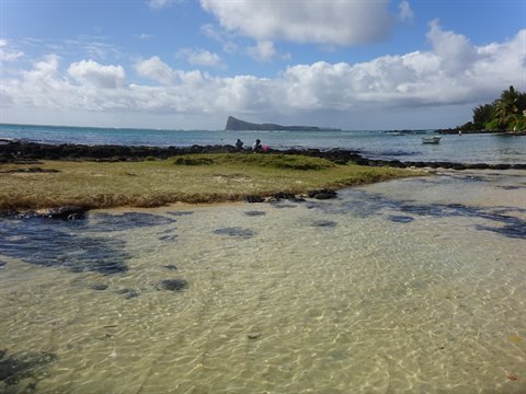 Traveler sitting on green reef before turquoise sea, midday light, travel journal