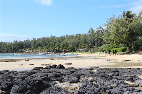 Black volcanic rocks on tropical beach, tourists walking among trees under blue sky