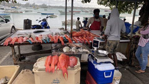Fish vendor at stall with fresh red fish, harbor with boats in background
