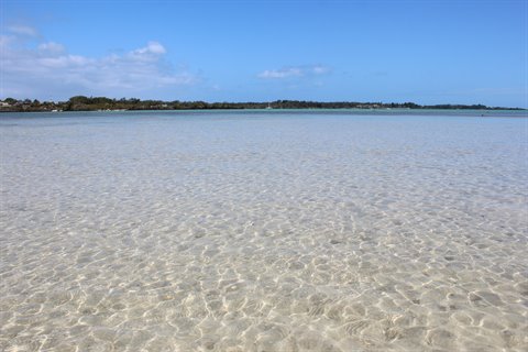 Crystal clear water over pale sand, tree-lined distant shore, blue sky, natural daylight