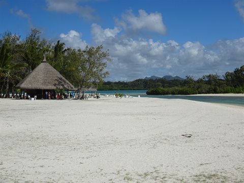 White sand beach with thatched hut, palm trees and turquoise water, daylight