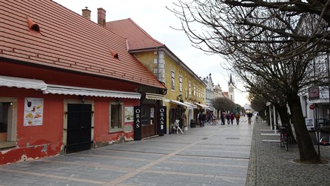 Pedestrians walking on a paved sidewalk between colorful houses and bare trees, soft light