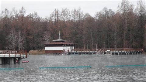 Pavilion on a lake with wooden piers, bare winter trees, gray sky