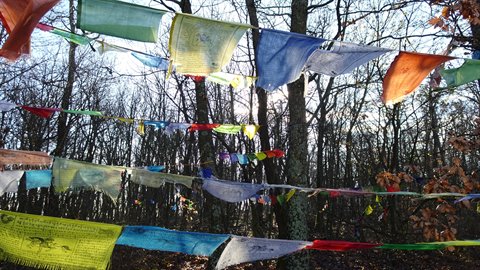 Colorful prayer flags fluttering between bare trees under bright sunlight