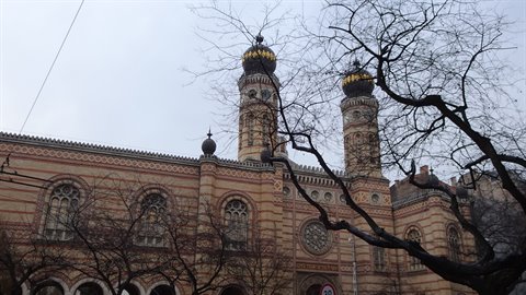 Synagogue with two domed towers among bare branches, grey sky, soft light