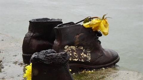 Iron shoes with yellow roses placed on the riverbank, soft diffused light