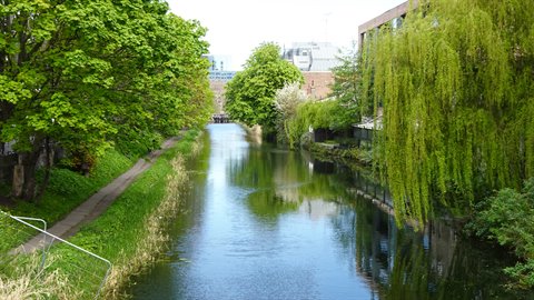 City canal with weeping willow and green trees under daylight