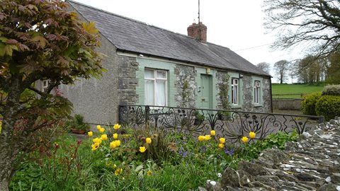 Stone cottage with green door, yellow flowers and tree under soft light