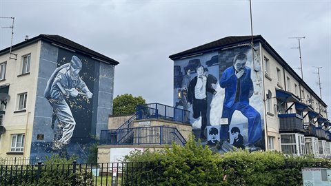 Murals painted on the sides of residential buildings, diffused light, hedges along the fence