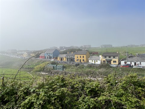 colourful houses among green fields in fog, thorny branches in foreground