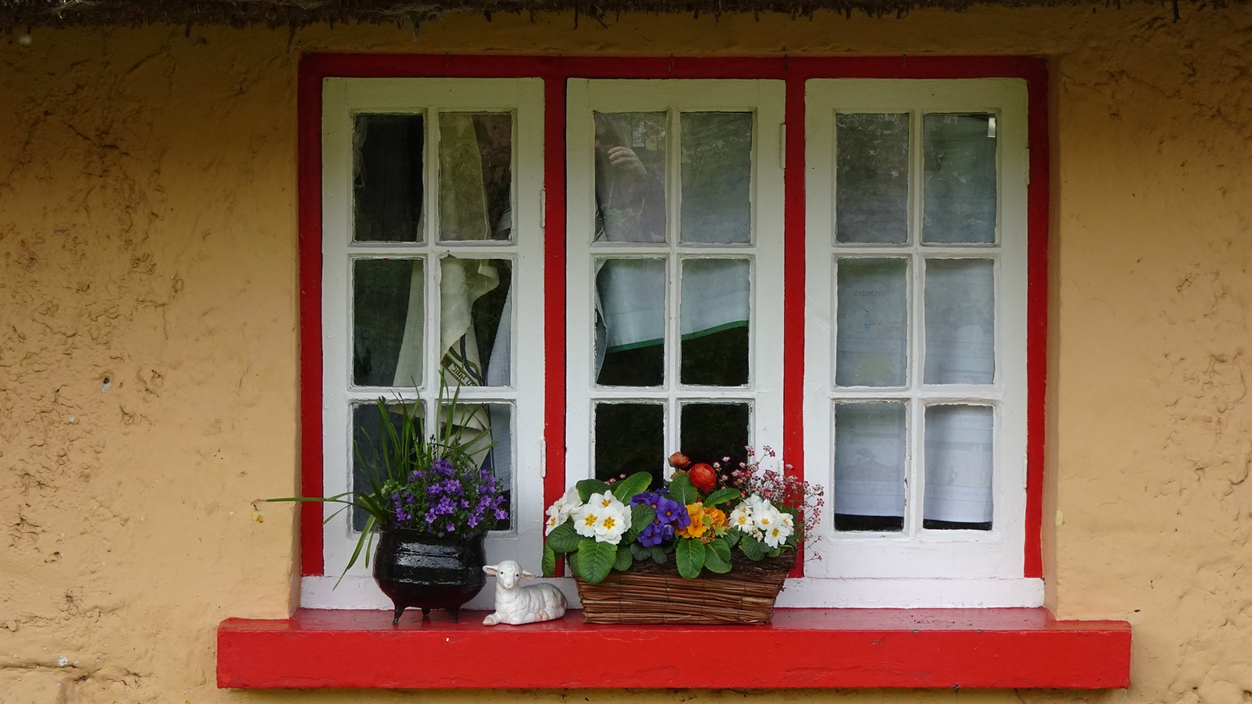White window with red frame, colorful flowers and ceramic cat figurine on the sill