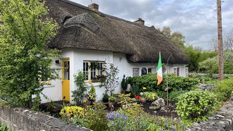 Thatched country cottage, blooming garden, Irish flag, soft daylight