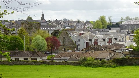 Tiled rooftops and church spires of an Irish town seen from green meadow, overcast light